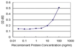 anti-AHI1 Matched Antibody Pair, Abnova&trade;