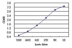 anti-DDX43 Matched Antibody Pair, Abnova 1 Set, Unlabeled:Antibodies, Monoclonal/Polyclonal