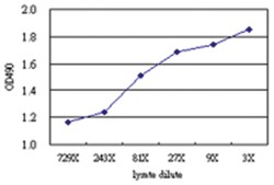 anti-CNDP2 Matched Antibody Pair, Abnova&trade;
