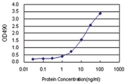 anti-TEX13A Matched Antibody Pair, Abnova&trade;