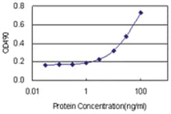 anti-EIF5A2 Matched Antibody Pair, Abnova&trade;