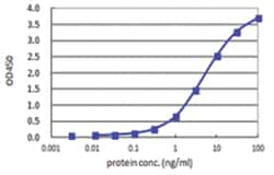 anti-RETN, Human, Matched Antibody Pair, Abnova&trade;