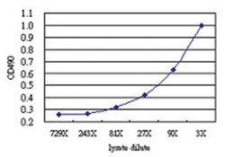 anti-IFNK Matched Antibody Pair, Abnova™