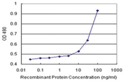 anti-AGTRAP Ab-1 Matched Antibody Pair, Abnova&trade;