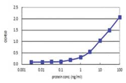 anti-TRIM49, Human, Matched Antibody Pair, Abnova™