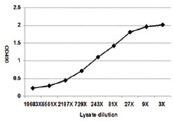 anti-SLURP1 Matched Antibody Pair, Abnova&trade;