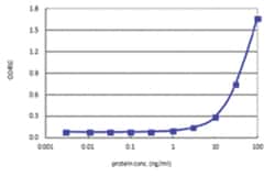 anti-TGIF2, Human, Matched Antibody Pair, Abnova™