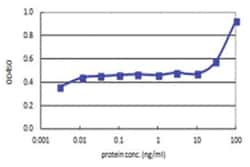 anti-NEUROG2, Human, Matched Antibody Pair, Abnova&trade;