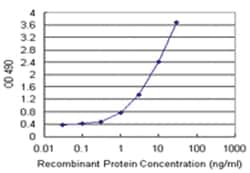 anti-MOAP1 Matched Antibody Pair, Abnova
