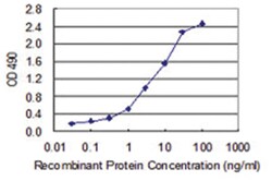 Abnova anti-MOAP1, Human, Matched Antibody Pair, Abnova™