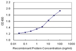 anti-SEMA4A Ab-1 Matched Antibody Pair, Abnova&trade;