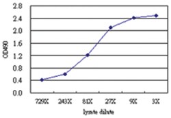 anti-ASPSCR1 Matched Antibody Pair, Abnova&trade;