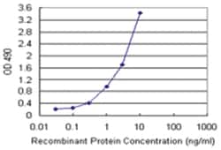 anti-THTPA, Human, Matched Antibody Pair, Abnova&trade;