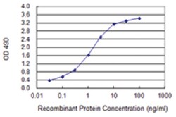 anti-ZMAT4, Human, Matched Antibody Pair, Abnova&trade;