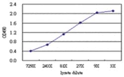 anti-NEK11 Matched Antibody Pair, Abnova&trade;