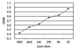 anti-PTGES2 Matched Antibody Pair, Abnova 1 Set, Unlabeled:Antibodies