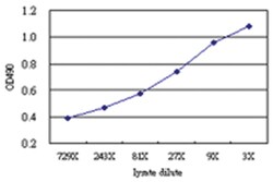 anti-SNX25 Matched Antibody Pair, Abnova™