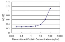anti-KIRREL2 Matched Antibody Pair, Ab-1, Abnova