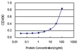 anti-FGD3 Ab-2 Matched Antibody Pair, Abnova™