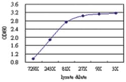 anti-FGD3 Ab-3 Matched Antibody Pair, Abnova™