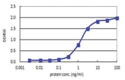 anti-LHX4, Human, Matched Antibody Pair, Abnova&trade;
