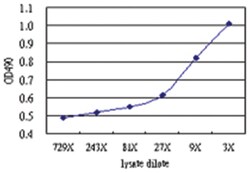anti-LHX4 Matched Antibody Pair, Abnova™