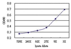 anti-MRRF Matched Antibody Pair, Abnova&trade;