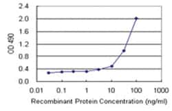 TP53RK, Human, Matched Antibody Pair (AP45), Abnova&trade;