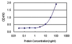 anti-EFHC1 Matched Antibody Pair, Abnova&trade;