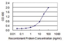 anti-CALR3, Human, Matched Antibody Pair, Abnova™