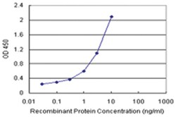 anti-TAF8 Matched Antibody Pair, Abnova