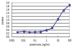 anti-GSC, Human, Matched Antibody Pair, Abnova™