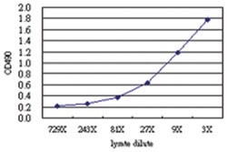 anti-CREB3L4 Matched Antibody Pair, Abnova™