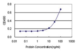 anti-RNF168 Ab-1 Matched Antibody Pair, Abnova™