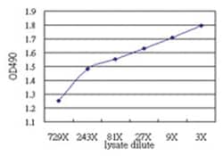 anti-RNF168 Matched Antibody Pair, Abnova™
