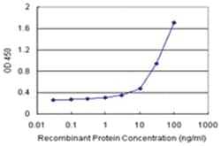 anti-C7orf38 Matched Antibody Pair, Abnova