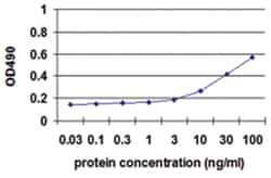 SFTPA1, Human, Matched Antibody Pair (AP41), Abnova™