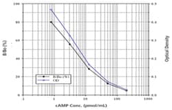 Abnova&trade;&nbsp;Cyclic AMP Complete ELISA Kit
