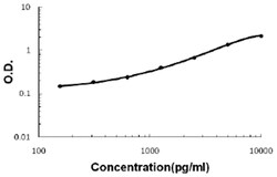 Abnova&trade;&nbsp;MMP2 (Rat) ELISA Kit