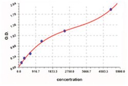Abnova&trade;&nbsp;Ctsb (Mouse) ELISA Kit