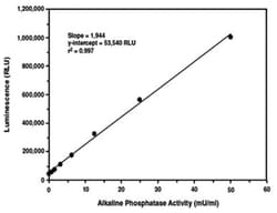 Abnova™ Secreted Alkaline Phosphatase Reporter Gene Assay Kit (Luminescence)