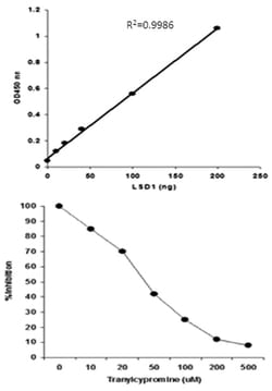 Abnova&trade;&nbsp;LSD1 Demethylase Activity/Inhibition Assay Kit (Colorimetric)