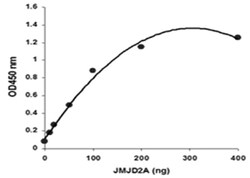 Abnova&trade;&nbsp;JMJD2 Demethylase Activity/Inhibition Assay Kit (Colorimetric)