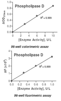 Abnova Phospholipase D Assay Kit 1 Kit | Buy Online | Abnova&trade; | Fisher Scientific