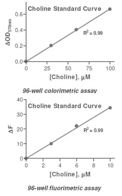 Abnova&trade;&nbsp;Choline Assay Kit