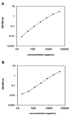 Abnova&trade;&nbsp;ALCAM (Human) ELISA Kit