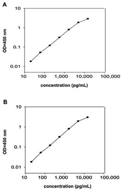 Abnova&trade;&nbsp;CEACAM1 (Human) ELISA Kit