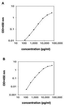 Abnova&trade;&nbsp;IGFBP6 (Human) ELISA Kit