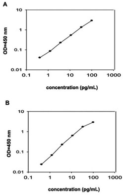 Abnova&trade;&nbsp;Ccl12 (Mouse) ELISA Kit
