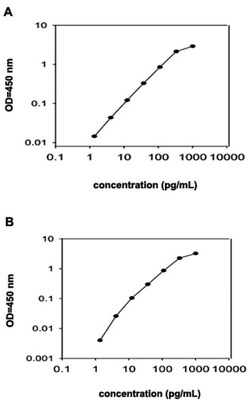 Abnova&trade;&nbsp;Timp1 (Mouse) ELISA Kit
